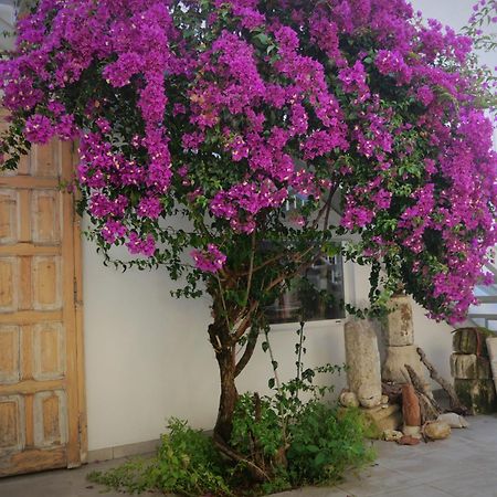 Casa De La Fra Apartamento Jerez de la Frontera Exterior foto