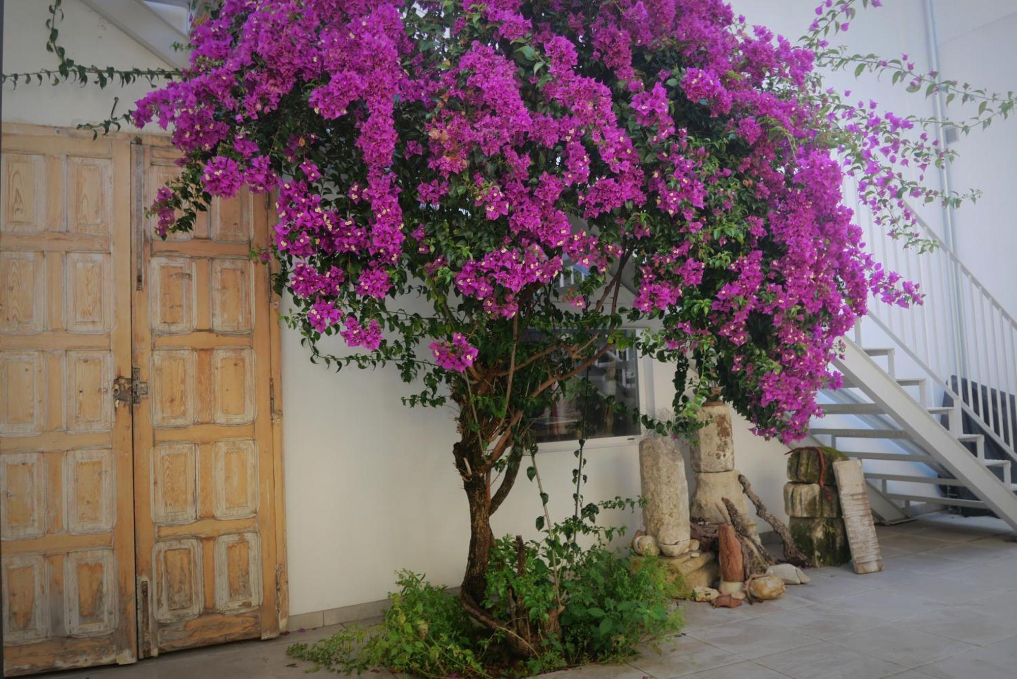 Casa De La Fra Apartamento Jerez de la Frontera Exterior foto